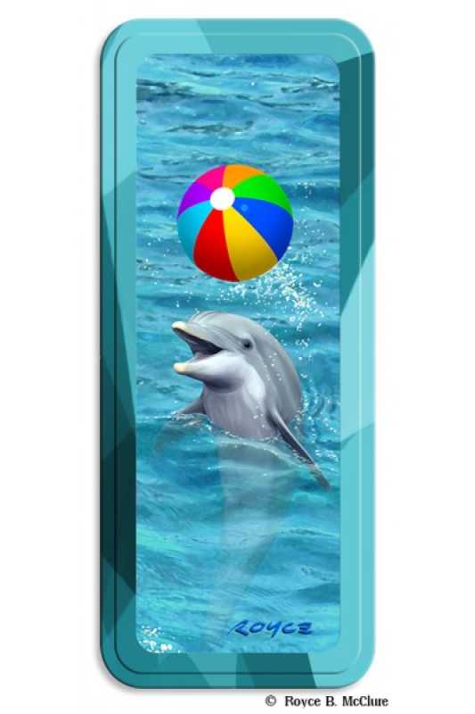 Stiftebox Beach Ball
